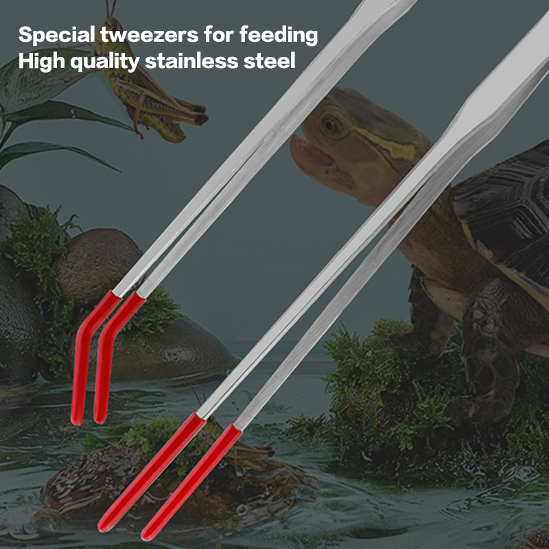 أدوات حوض السمك الخبراء: ملاقط - مراجعة Feeding Tong Stainless وسعره