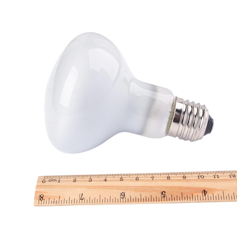 جهاز تحكم في درجة حرارة السخان - مراجعة Basking Bulb Halogen وسعره