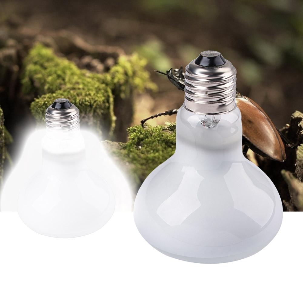 مصباح حراري للبرمائيات، مصباح  - مراجعة Basking Bulb Halogen وسعره