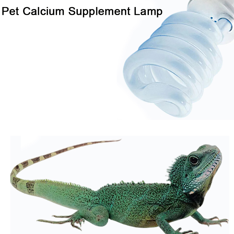 E27 13 واط/26 واط الزواحف Uvb  - مراجعة Calcium Powder Reptile وسعره