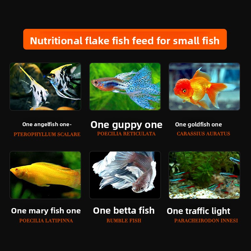 DaJiaWa Spirulina Flake Fish F - مراجعة Tetra Food Betta Flakes وسعره